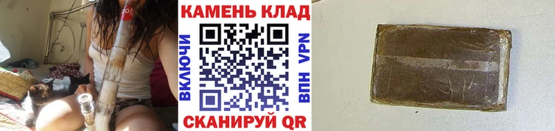 Купить  Губкин  ГАШ гарик 