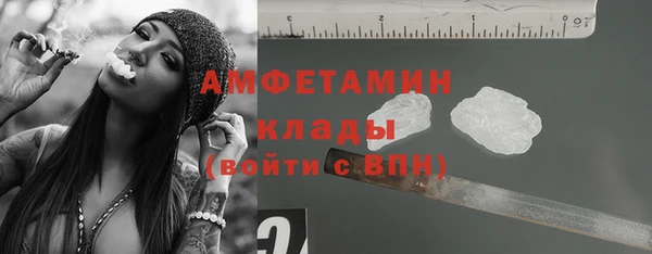 сатива Белокуриха