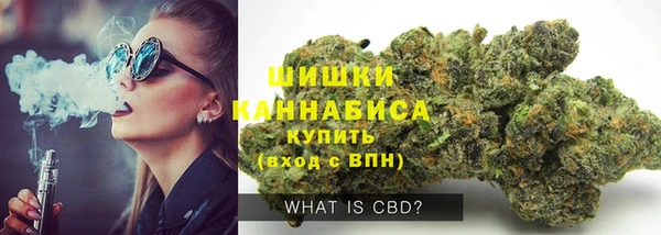 сатива Белокуриха